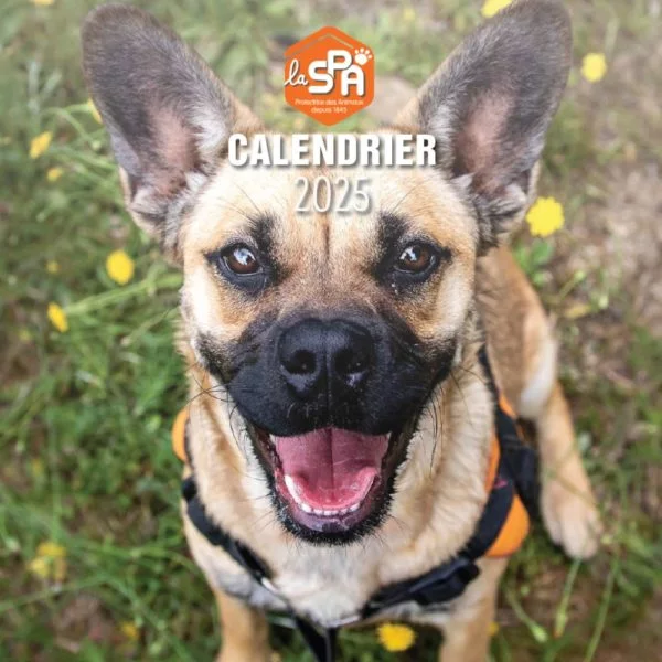 Calendrier La SPA 2025 • Boutique La SPA