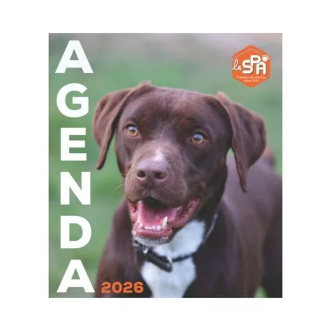 Agenda LA SPA 2026