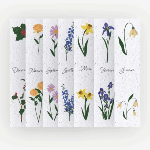 Calendriers marque-page 2026 - Fleurs de naissance