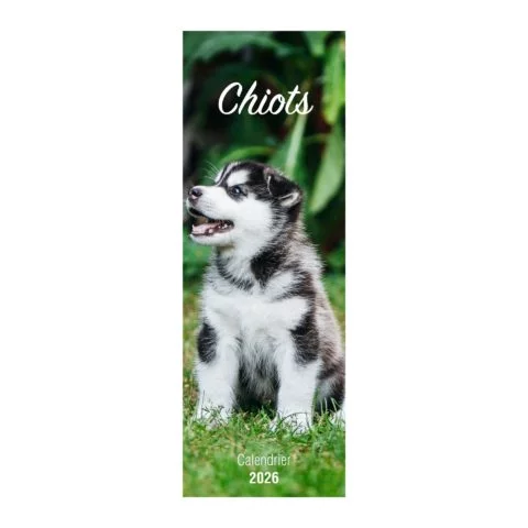Calendrier "Chiots" - 2026