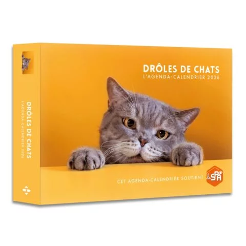 Agenda Drôle de Chats - 2026
