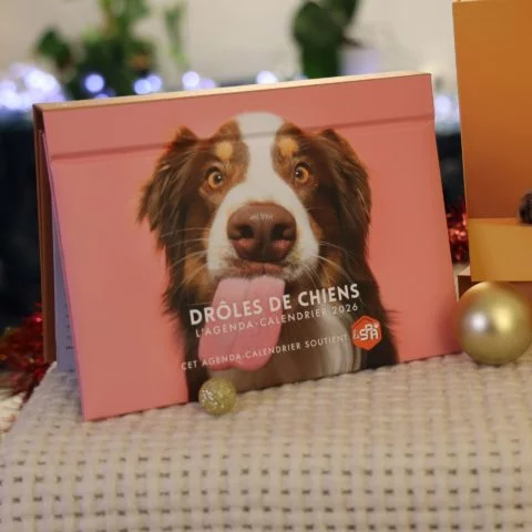 Agenda Drôle de Chien - 2026