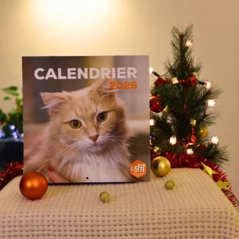 Calendrier La SPA 2026