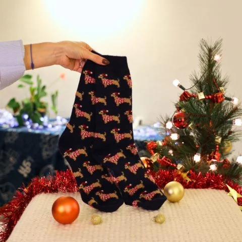 Chaussettes Teckel x Damart