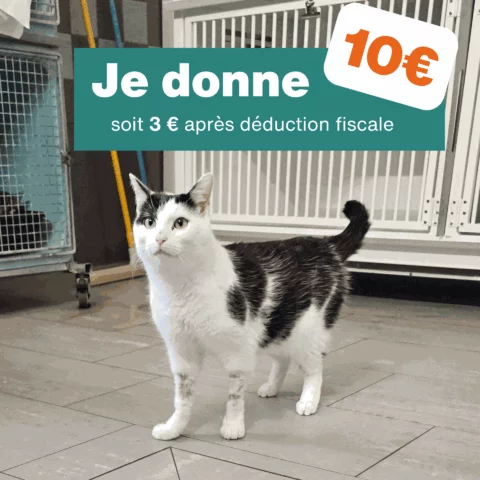 Don de 10€ - Pour 1 mois de nourriture