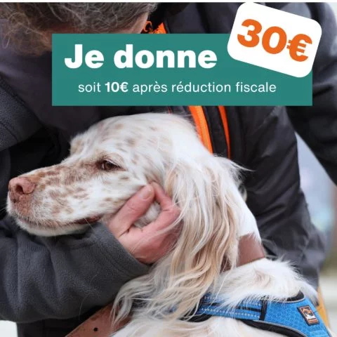 Don de 30€ - pour 1 mois de nourriture pour chien