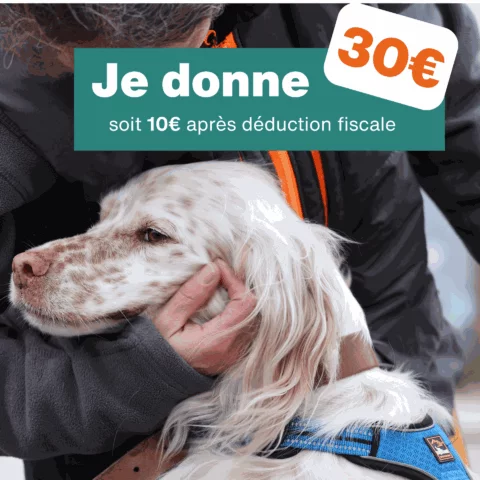 Don de 30€ - pour 1 mois de nourriture pour chien