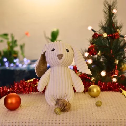 Peluche pour chien, Plume le lapin