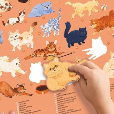Poster - Les Chats