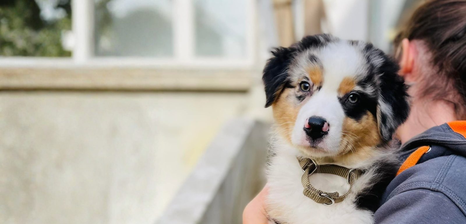 Bienvenue sur notre boutique