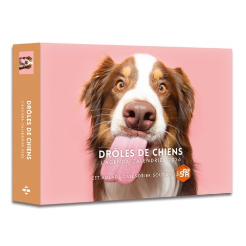 Agenda Drôle de Chien - 2026