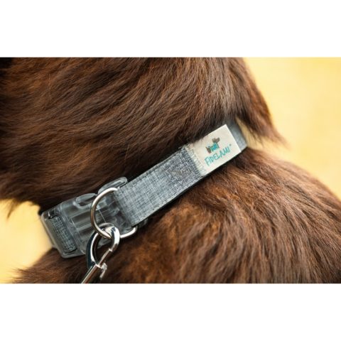 Collier Jean Fidelami L La SPA